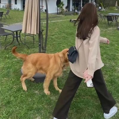 蓝天使